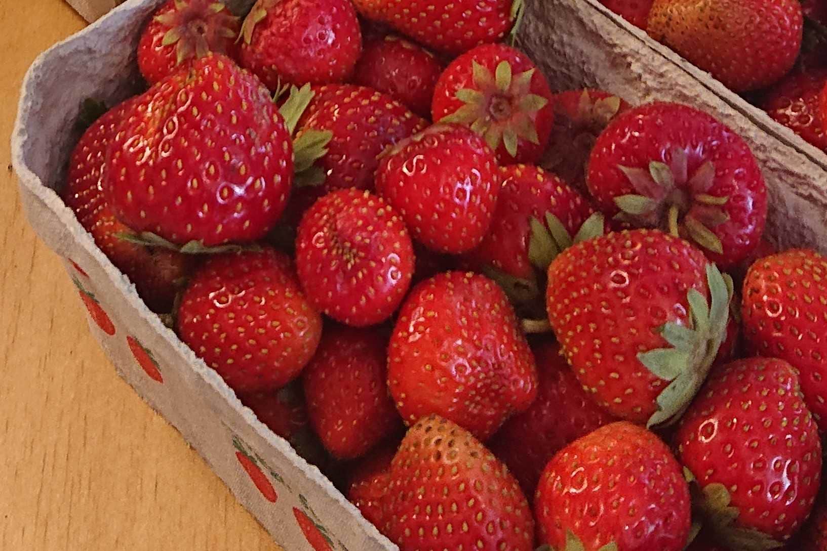 Økologike danske jordbær fra Vivis Pryd